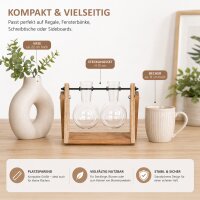 Stecklingsvase mit 2 Glasvasen und Holzgestell – Vermehrungsstation aus Glas, Holz und Eisen
