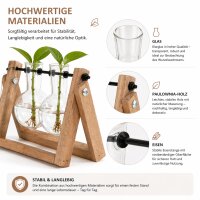 Stecklingsvase mit 2 Glasvasen und Holzgestell – Vermehrungsstation aus Glas, Holz und Eisen