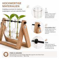 Stecklingsvase mit 2 Glasvasen und Holzgestell – Vermehrungsstation aus Glas, Holz und Eisen