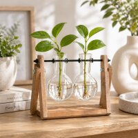 Stecklingsvase mit 2 Glasvasen und Holzgestell – Vermehrungsstation aus Glas, Holz und Eisen