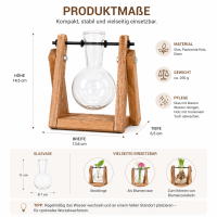 Stecklingsvase mit Holzgestell und Glasvase – Vermehrungsstation aus Glas, Paulownia-Holz und Eisen