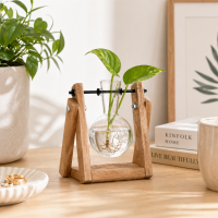 Stecklingsvase mit Holzgestell und Glasvase – Vermehrungsstation aus Glas, Paulownia-Holz und Eisen