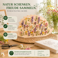 Blumensammler Igel aus Holz – Blumenstecker für 28 Blüten, 19,8 cm