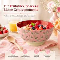 RICE Melaminschale Swan Print rosa 700 ml – Schale mit Schwanenmotiv