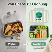 RICE Kunststoff Lunchbox mit 6 Fächern Earth Print – Brotdose für Schule, Kita & Ausflüge