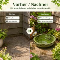 Vogeltränke Keramik oval mit Frosch für friedliche Gartenmomente