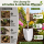 Blumenkelle Holzgriff mit Edelstahlblatt für leichtes Pflanzen