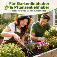 Handharke mit Holzgriff lang für präzise Beetpflege