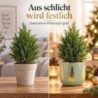 Keramik Übertopf 15x15x14 Grün Salbei - Blumentopf Gold Tanne