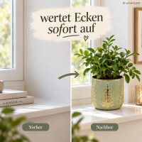 Keramik Pflanztopf 17,5x16cm Grün salbei - goldfarbener Übertopf
