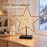 LED Stern stehend 28x7x35cm Schwarz - Leuchtstern Metall für innen