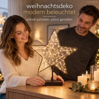 LED Stern stehend 28x7x35cm Schwarz - Leuchtstern Metall für innen