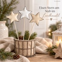 Deko Stern am Stab 6,5x0,5x20cm Weiß Beige Grau Eisen für Gestecke