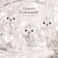 Deko Eule Anhänger 6,5cm Transparent Polystyrol für Baum und Zweige