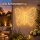 LED Schmetterling außen 58x43cm Goldfarben warmweiß aus Metall