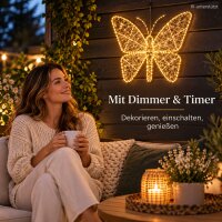 LED Deko Schmetterling 98x77cm Gold warmweiß Metall außen innen