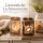 Windlichter Leopold 2er-SET