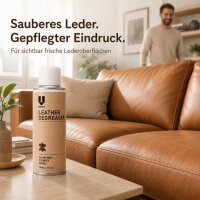 Leder Fleckenentferner Spray 200ml Beige - Metall Dose für Lederpflege