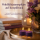 Deluxe Homeart LED Teelichter Dunkel Lila 2er Set Klein