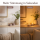 Deluxe Homeart LED Kerze Rose Teelicht