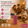 Deluxe Homeart LED Kerze mit Timerfunktion Magenta